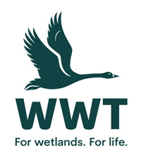 WWT
