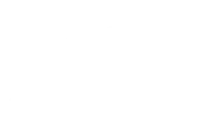 slamm logo 2025 white